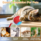 iLMH 1/2 PCS Cat Interactive Ball Toy Automatic Rolling Ball Faux Tail Rechargeable Smart Pet Electric Toy Pet Toy Imitate Mouse